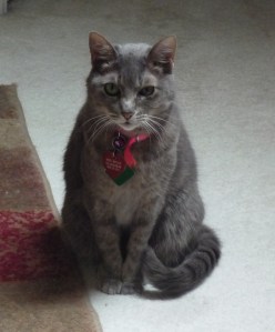 Summer_Oct2009 027 (3)