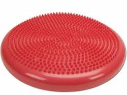 nubby therapy cushion