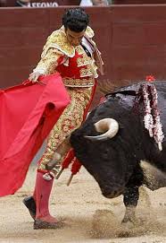 bullfighter pic