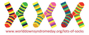 WDSD Socks