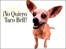 taco bell dog