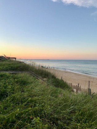OBX View