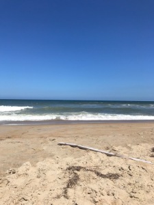obx view 2018