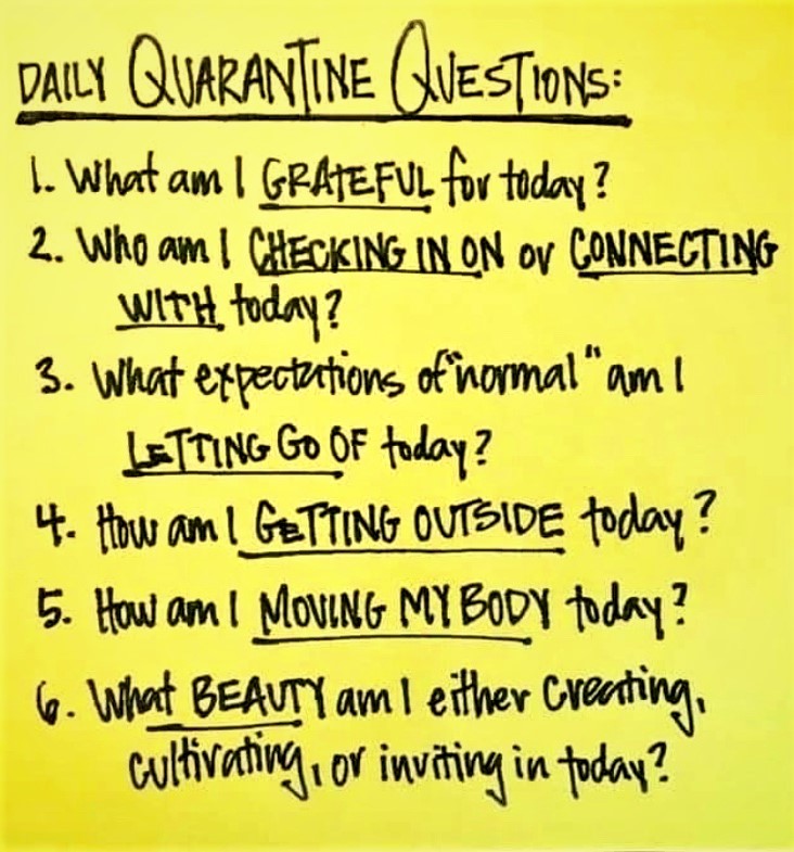daily quarantine questions